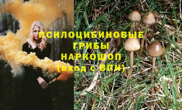 бошки Волосово