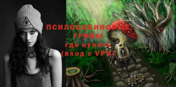 стаф Володарск