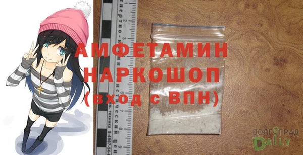 молекула духа Бородино