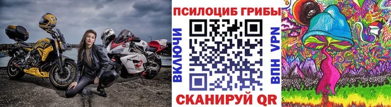 Галлюциногенные грибы мицелий  OMG зеркало  Рузаевка 